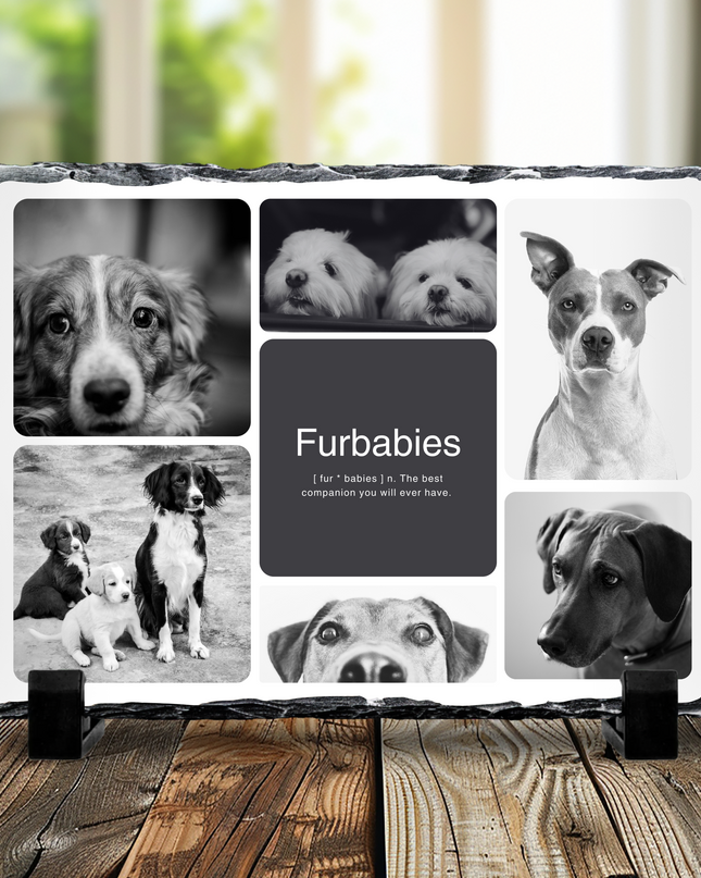 6 Image Dog Photo Slate 19x29cm - Demo Design Gifts