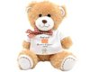 Our First Home Teddy Bear