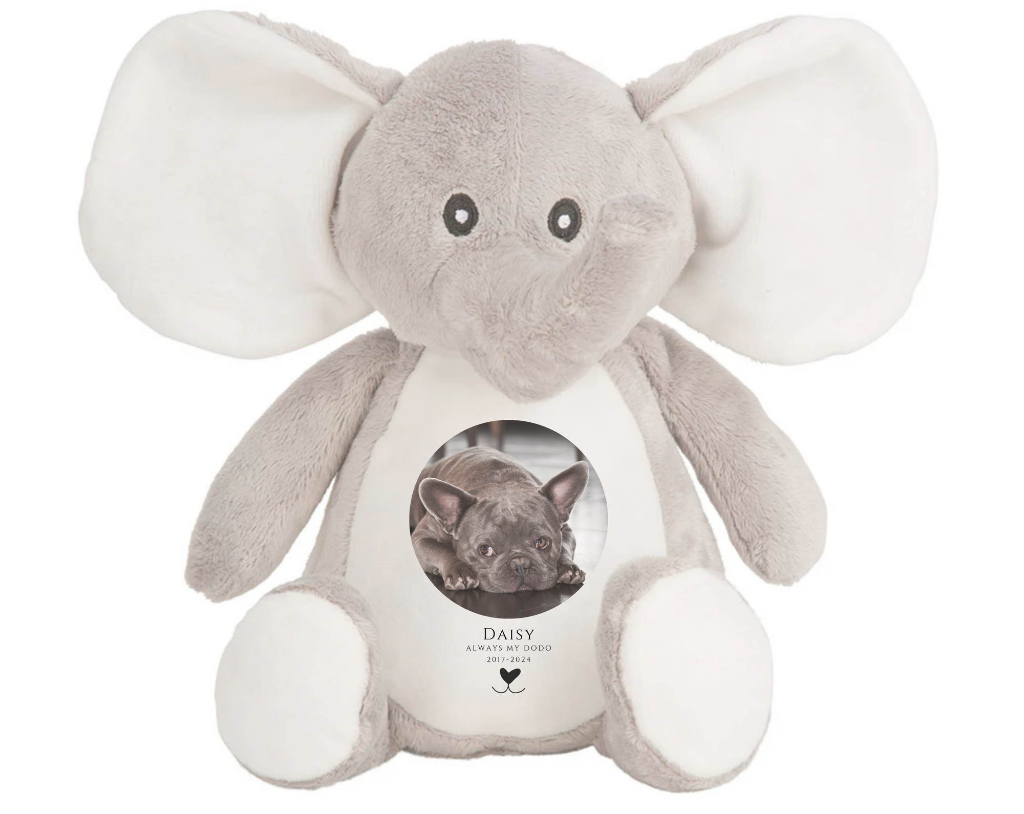 Dog Photo with Date Elephant Bear